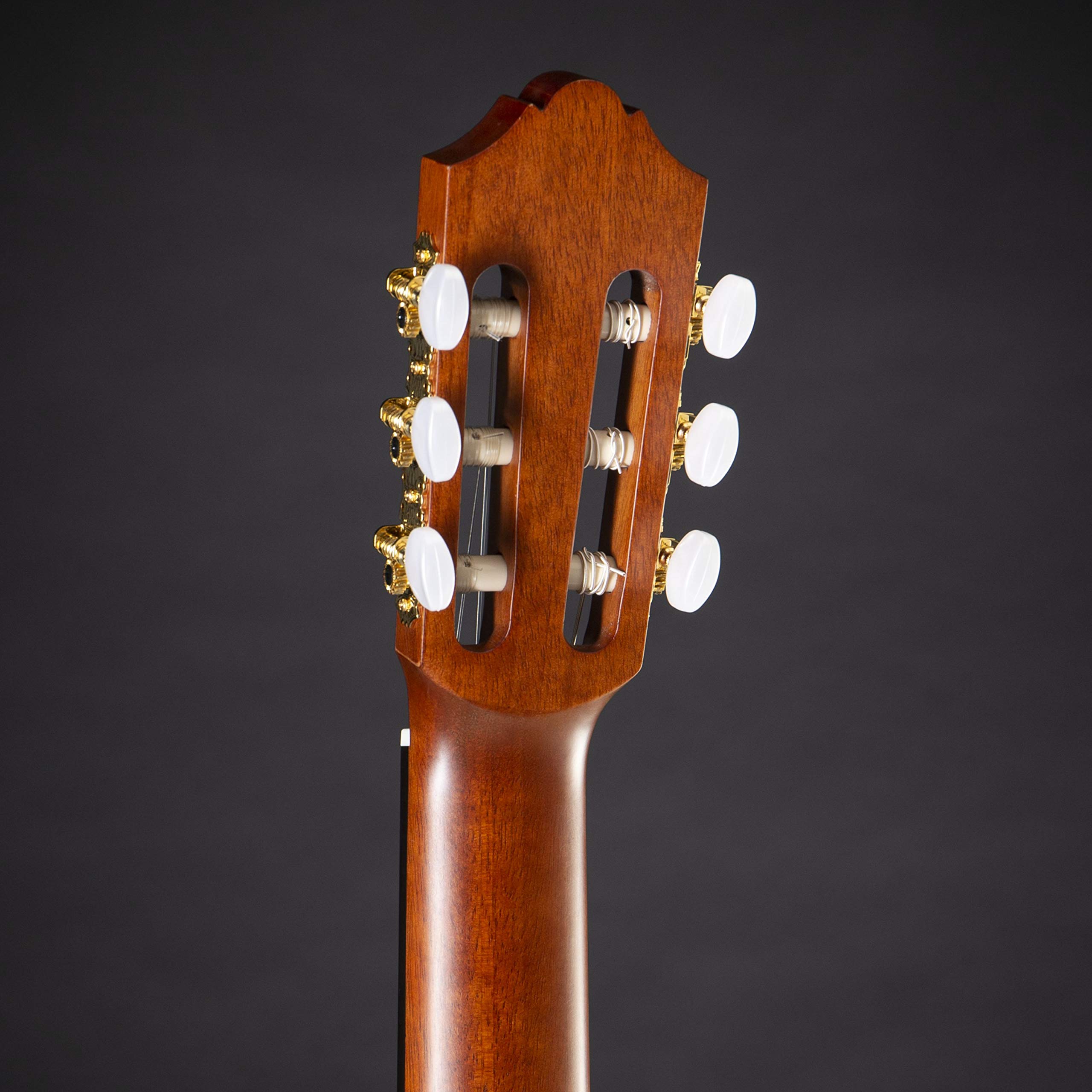 Amazon.co.jp: ヤマハ トランスアコースティックギター クラシック